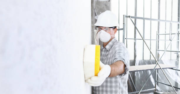 Professional Mold Removal Services in Weldon, CA